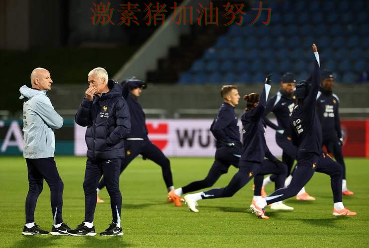 法国防守稳固让冲冠希望持续升温