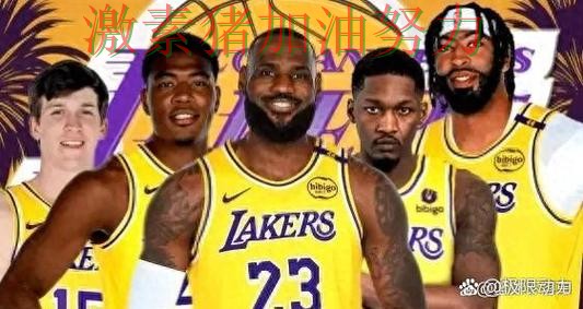 国王阵容短板暴露成为球迷讨论焦点